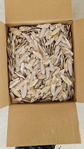 Hueso de Sepia Seco de Alta Calidad, Natural, para Jaulas de Pájaros, Suministros para Mascotas, OEM - Product Image 2
