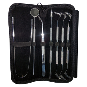 Ensemble d'examen dentaire professionnel 6 pièces, kit de nettoyage dentaire en acier inoxydable, outils de soins bucco-dentaires - Product Image 6