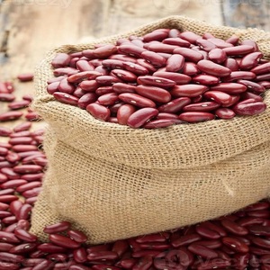 Haricots rouges de qualité supérieure, parfaits pour les restaurants, les épiceries, les magasins d'alimentation et les cuisines domestiques recherchant des ingrédients de cuisson fiables. - Product Image 5