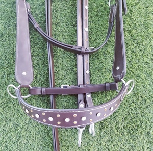 Brida sin bits de cuero Cum Headstall Fancy Brown Color Cuero Western Bit-less Brida decorativa para caballos - Product Image 2