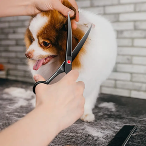 Ciseaux de toilettage pour animaux de compagnie en acier inoxydable de haute qualité, ensemble de ciseaux sur mesure, professionnels, durables, ciseaux de toilettage pour animaux de compagnie personnalisés - Product Image 4