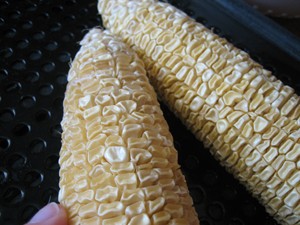 COB DE MAÏS BON MARCHÉ POUR LITERIE DE CHEVAL ET ALIMENTATION POUR ANIMAUX EN VRAC - Product Image 3