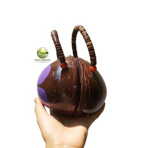 Vietnam Coconut Waterproof Round Handicraft Handmade new customize natural Modern Coconut <b>purse</b> - Product Image 2