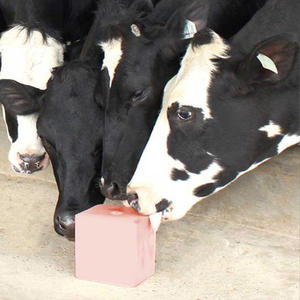 Bloques de Sal Rosa del Himalaya, Bloques de Sal Natural para Ganado, Caballos y Animales, Diseño Moderno para Sala de Estar y Comedor - Product Image 3