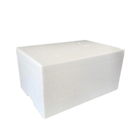 Boîte en mousse EPE/EPS de 47 litres de qualité supérieure, légère et écologique, pour le stockage et le transport des aliments, avec couvercle, résistante aux chocs et à l'eau