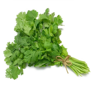 Indian Coriander Essential Oil | <b>Bulk</b> Supplier Premium Coriandrum Sativum Oil Wholesale OEM Private Label Manufacturer - Product Image 5