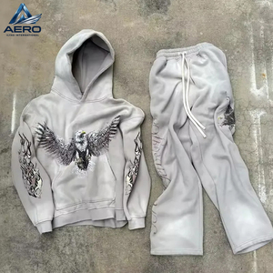 Ensemble de survêtement homme gris clair délavé à l'acide, avec sweat à capuche imprimé graphique vintage oiseau et pantalon de survêtement large à manches flamboyantes, 2 pièces - Product Image 1