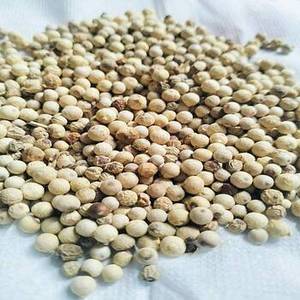 พริกไทยขาวอินเดีย (กูจารัต) สำหรับขายส่งเพื่อการส่งออก กลิ่นหอม รสชาติเยี่ยม เครื่องเทศคัดสรรอย่างพิถีพิถัน อายุการเก็บรักษา 24 เดือน - Product Image 2