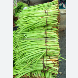 <b>Fresh</b> Taro Stolon's Export Quality Organic Taro Runners <b>Fresh</b> <b>Vegetables</b> Wholesale Supplier Bangladesh - Product Image 6
