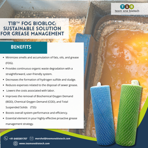 Appareil de drainage efficace FOG BioBloc pour unités de traitement des aliments - Product Image 2