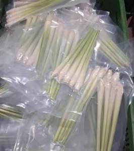 ก้านตะไคร้แช่แข็ง IQF เกรดอาหาร คุณภาพสดใหม่ สำหรับขายส่งทั่วโลก - Product Image 6