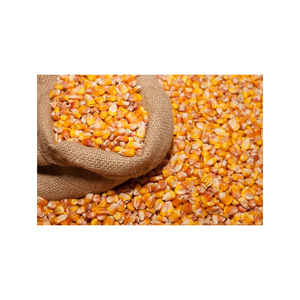 ข้าวโพด GMO คุณภาพพรีเมียมขายส่ง ปริมาณมาก เกรดอาหาร พร้อมจัดส่งสำหรับส่งออก - Product Image 5