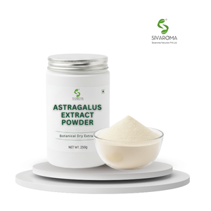 Extrait sec d'Astragale pour les fabricants mondiaux recherchant une qualité botanique constante et des solutions fiables d'approvisionnement en vrac - Product Image 3