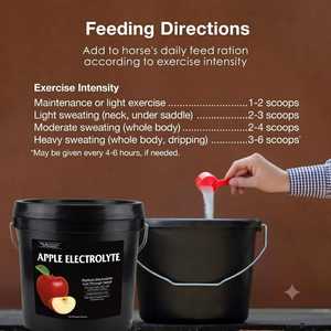 Poudre d'électrolytes pour chevaux, soutien minéral vital, supplément d'hydratation, formule complète, absorption rapide, sans sucre ajouté, approvisionnement en vrac - Product Image 4