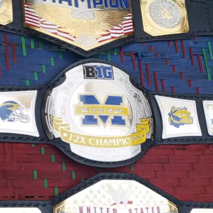 Ceinture de championnat personnalisée Big M Michigan 12X avec plaques en laiton de 2 mm pour la lutte - Product Image 1