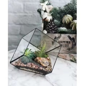 Home Accent Glass Metal Terrarium Planter Decorative Indoor Plant <b>Display</b> <b>Case</b> Geometric Decor - Product Image 4