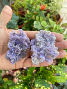 Carved Raw Druzy Grape Agate <b>Cluster</b> Set of 2 | Natural Purple Botryoidal <b>Crystal</b> Specimens for Display & Collector Collections - Product Image 1