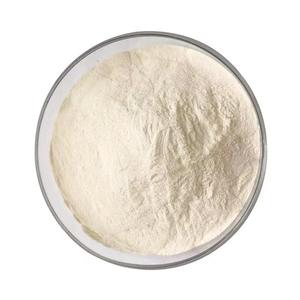 Bulk Quality White Onion Powder Food Grade Premium Quality Onion Powder Fine <b>Mesh</b> Rich Flavor Consistent Quality Supply - Product Image 6