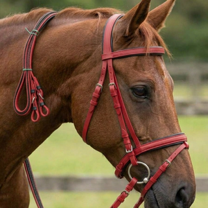 HM GLOBAL Equestrian Genuine for / Premium PVC Racing <b>Bridle</b> Rubber Grip Reins Set Heavy-duty PVC Headstall Full Cob - Product Image 1
