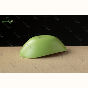 Bols en bambou écologiques personnalisés OEM Vaisselle jetable légère pour un usage quotidien Fabriquée à la main au Vietnam pour salades, collations et fêtes - Product Image 4