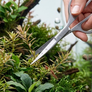 Ciseaux aquatiques de 6,5 pouces pour aquascaping et élagage OEM - Product Image 1