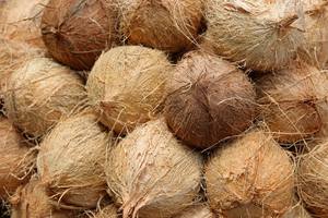 Natural <b>Coconut</b> <b>Husk</b> from Vietnam – Raw Material for Coir Products,High Fiber Content // Mr.Tom - Product Image 3