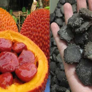 SEMILLAS DE GAC SECAS PREMIUM / NATURALES Y NUTRITIVAS / HECHAS EN VIETNAM / SRA. ALINA - Product Image 5