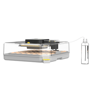 Wonegg 48h tiết kiệm năng lượng xách tay tự động Chick trứng nở máy để bán - Product Image 4