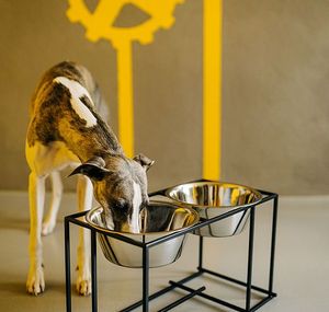 Station d'alimentation surélevée en acier inoxydable pour animaux de compagnie, support double pour gamelles de chien, organisateur de bols pour animaux - Product Image 5