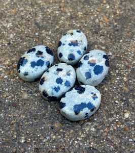 Cabochon ovale en jaspe dalmatien naturel, pierre à dos plat de haute qualité, polie, pour la fabrication de bijoux, vente en gros - Product Image 2