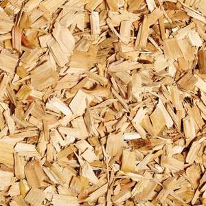Virutas de Madera de Eucalipto de Alta Calidad para Energía de Biomasa, Cama para Animales, Cultivo de Hongos y Suministro de Grado de Exportación a Precio Económico - Product Image 4