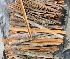[Culture Printanière 2025] Bâtons de cannelle Cassia de qualité supérieure, qualité exceptionnelle, originaux, OEM, export, usine du Vietnam, doux et épicé - Product Image 2