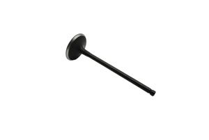Repuestos de Válvulas de Admisión y Escape para Motor TD 1SC 24V, Mercado Estadounidense - Product Image 4