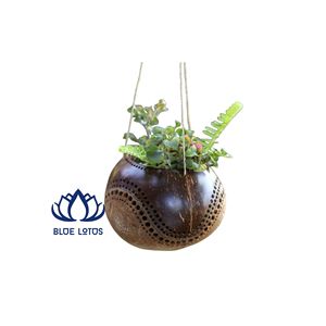 Pot de fleurs en coquille de noix de coco naturelle de haute qualité |   Porte-plantes artisanal durable pour le jardin - Product Image 1