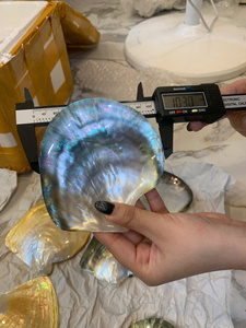 แผ่นเปลือกหอยมุกขัดเงาสองด้านสีทอง งานแฮนด์เมดจากเวียดนาม ของตกแต่งบ้านจากเปลือกหอยธรรมชาติ จำหน่ายส่ง - Product Image 4