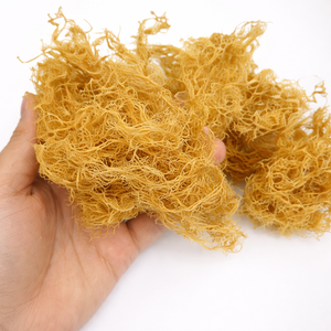 MOUSSE DE MER D'IRLANDE VÉGAN / MOUSSE DE MER DE QUALITÉ SUPÉRIEURE DU VIETNAM / Mme Alina - Product Image 3