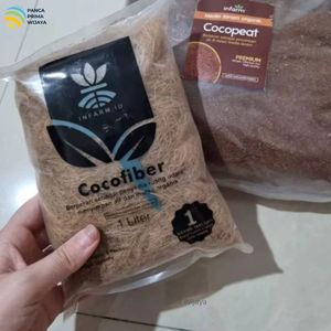 ใยมะพร้าวอินทรีย์ 1 ลิตร |   วัสดุปลูกพืชแบบธรรมชาติสำหรับการปลูกพืชไร้ดินและการปลูกผลไม้ พร้อมอายุการเก็บรักษา 24 เดือน - Product Image 2
