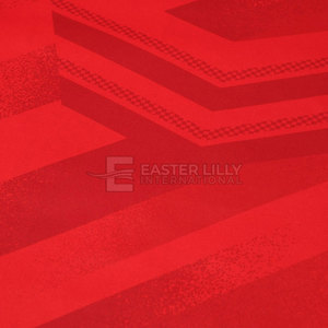 Uniforme de Fútbol Deportivo de Fabricación Propia, Color Personalizado, Uniforme de Fútbol de Alta Calidad para Adultos - Product Image 4