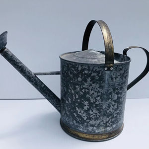 Aspersor de agua de metal galvanizado de alta resistencia, perfecto para el cuidado de plantas en el jardín, herramienta de riego para exteriores y uso en jardinería doméstica - Product Image 1