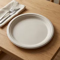 Assiette jetable de luxe moderne en bagasse de 9 pouces, la plus vendue, écologique, compostable, de qualité alimentaire, pour événements hôteliers