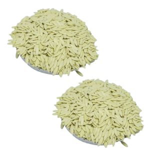 Semillas de Pepino BCA F1 de Alta Calidad, Producto Premium, el Más Vendido de Indonesia, 6 Meses de Vida Útil, Listo para Plantar - Product Image 1