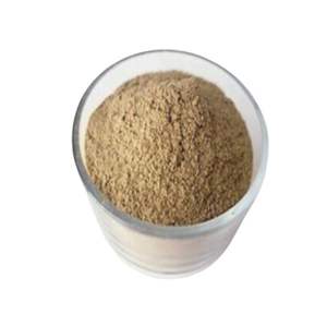 Extracto de Plumbago Indica, extracto de planta Premium para la salud y el bienestar - Product Image 5