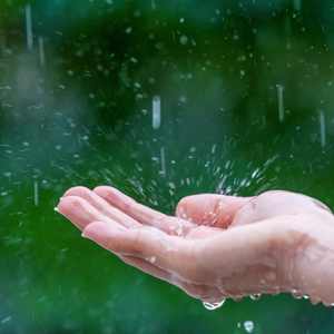 Aceite Aromático Premium After The Rain, Suministro a Granel, Aceite de Fragancia para Fabricación de Jabones, Velas, Perfumes y Cosméticos - Product Image 5