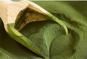 Extrait de thé vert, polyphénols, extrait instantané de plantes vertes, feuilles de thé vert 100% - Product Image 3