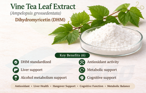 Suministro directo de fábrica HGO de extracto de hoja de té de vid natural puro Ampelopsis grossedentata (grado alimenticio) dihidromiricetina 98% - Product Image 5