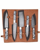 Ensemble de couteaux en acier Damas 5 pièces 8-9,9 pouces, finition satinée, manche en résine, couteaux de cuisine pour chef, ambidextres, lame droite tranchante