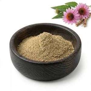 Extracto de Planta Herbal de Equinácea Purpurea, Rico en Antioxidantes Naturales, Fórmula Tradicional de Bienestar Herbal - Product Image 2