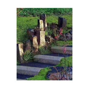 Carreaux de granit décoratifs d'excellente qualité pour les maisons de luxe, les hôtels et les projets de design d'intérieur de bureaux, disponibles au meilleur prix - Product Image 5