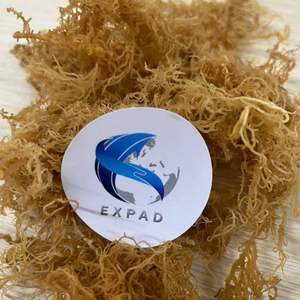 Vegan Irish Sea <b>Moss</b> Wholesale Organic Eucheuma Cottonii From Vietnam - Product Image 5