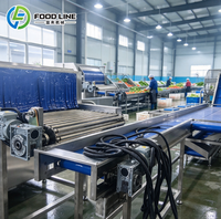 Voedselverwerkingsmachine met belletjeswasmachine en luchtbellenreinigingsmachine voor gebruik in de fruit- en groentelijn